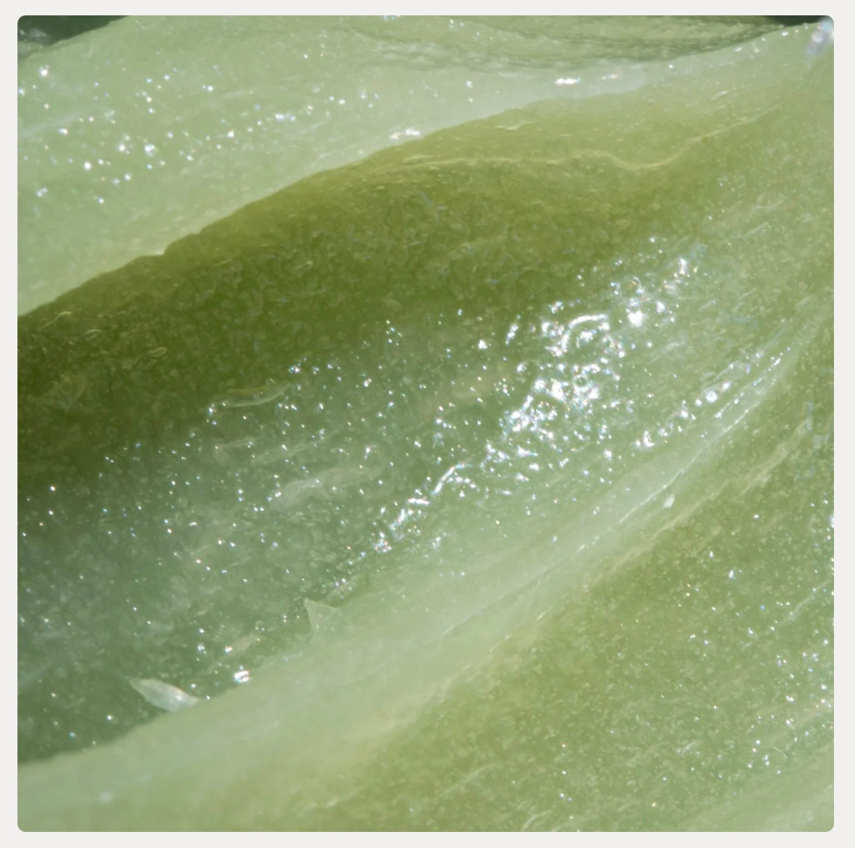 Anfisa ÂN-BALM Radiant Hydra-Balm